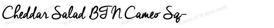 Cheddar Salad BTN Cameo Sq字体转换